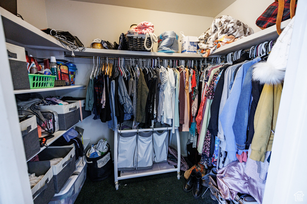 Spacious closet featuring carpet floors