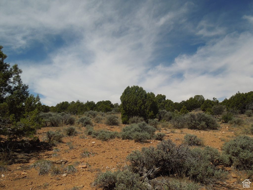 View of undeveloped land