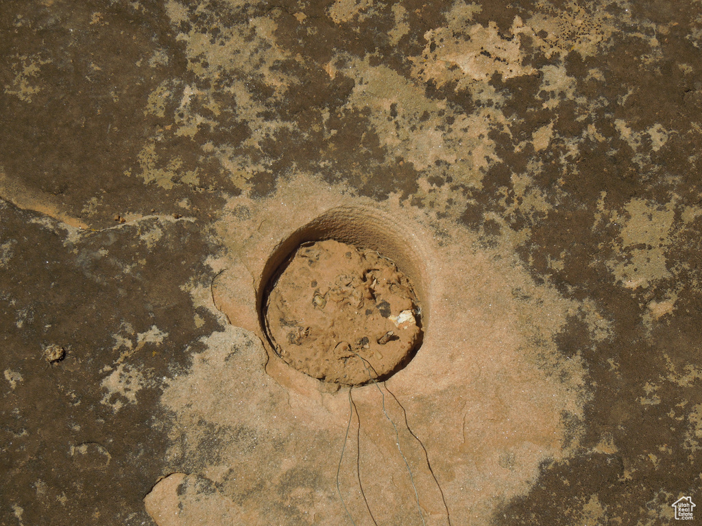 Detailed view