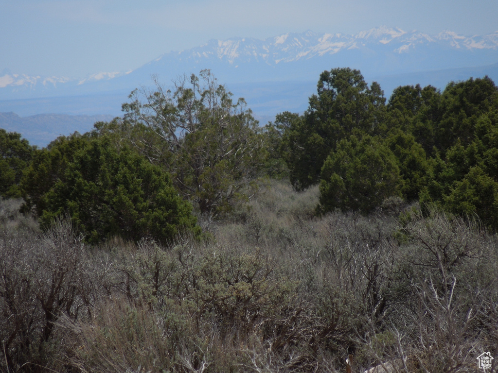 View of woods with a mountain view