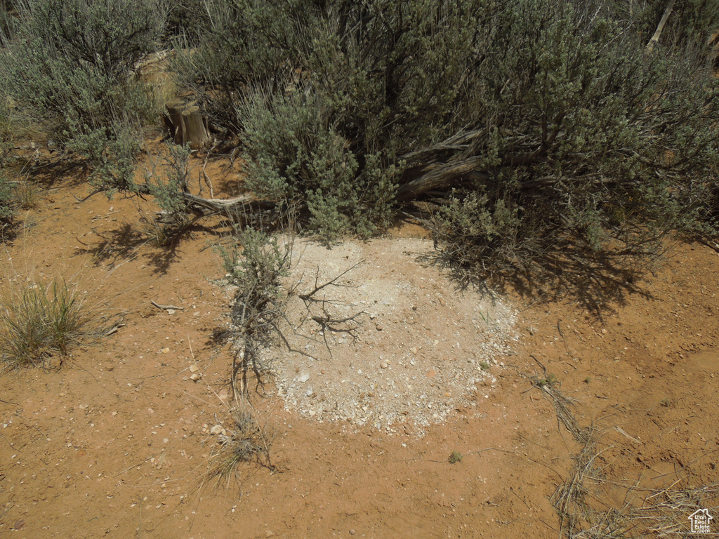 View of undeveloped land