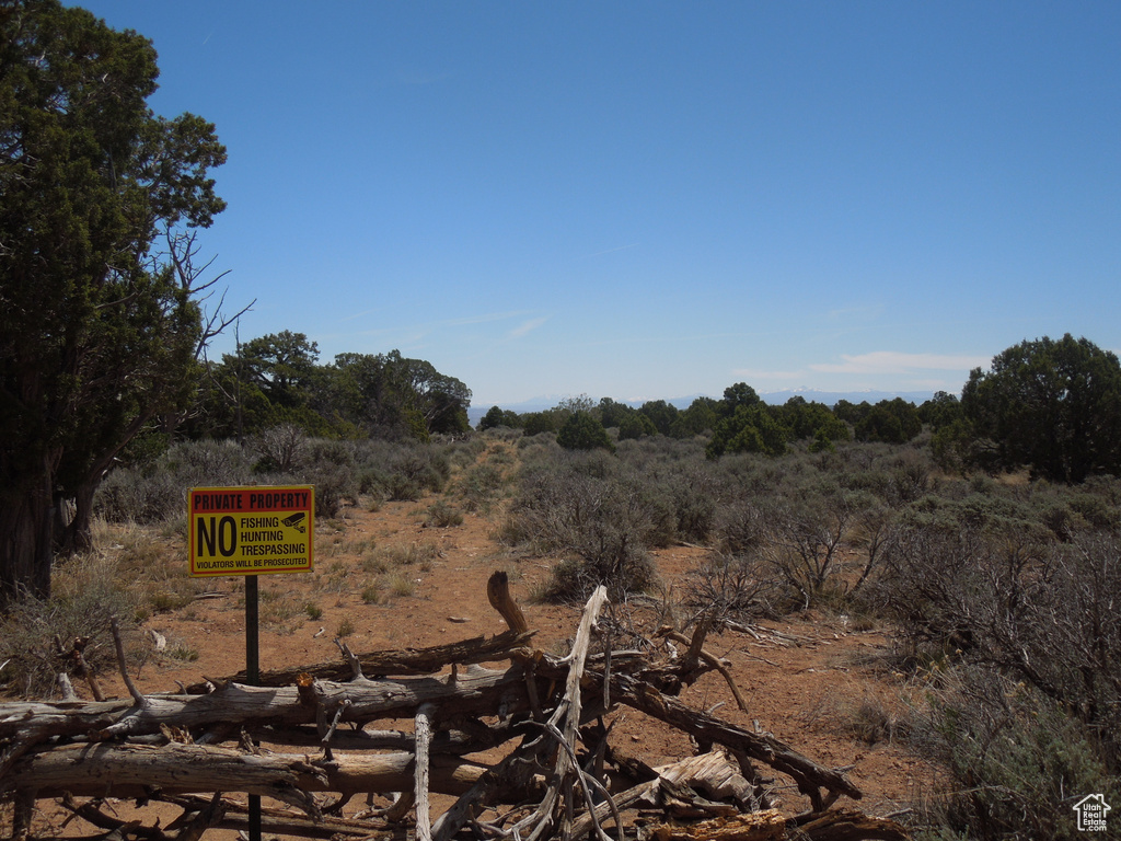 View of undeveloped land