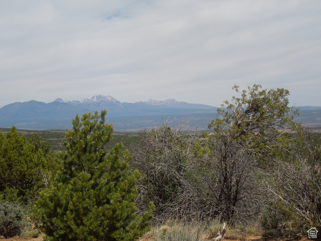 View of mountain background