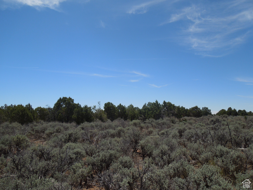 View of undeveloped land