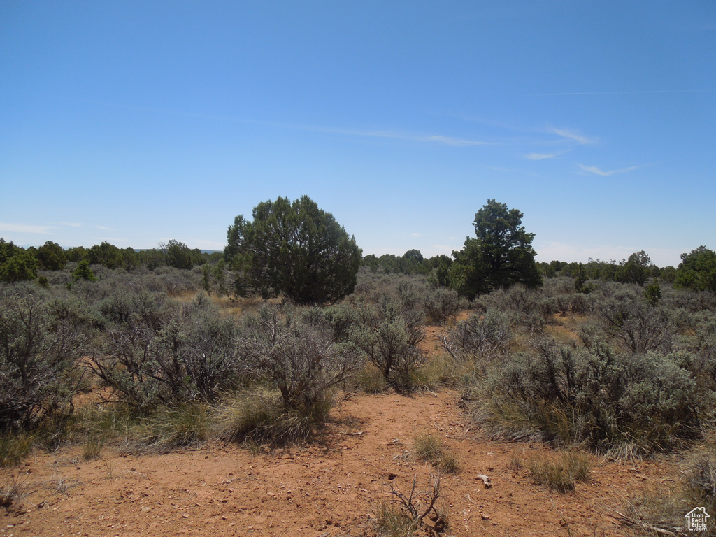 View of nature