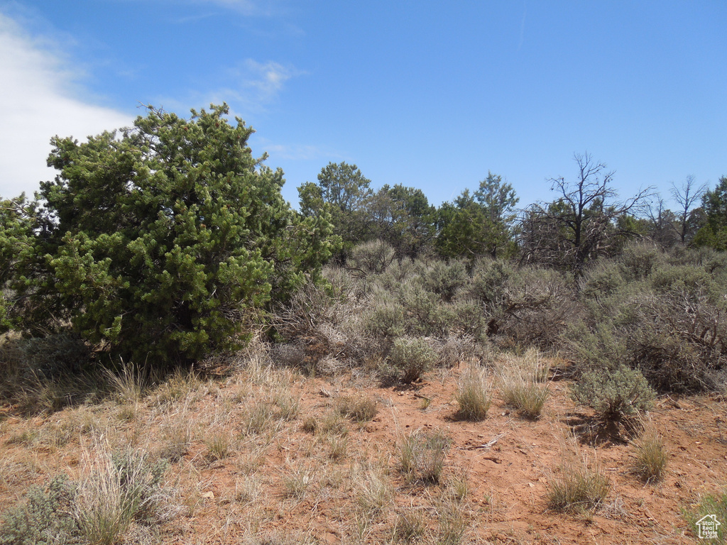 View of undeveloped land