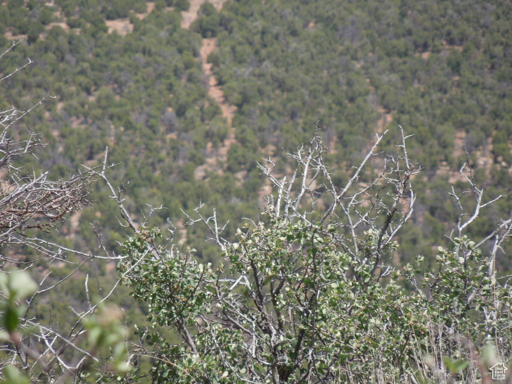 Aerial view of property and surrounding area featuring a forest