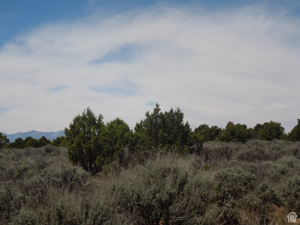 View of nature