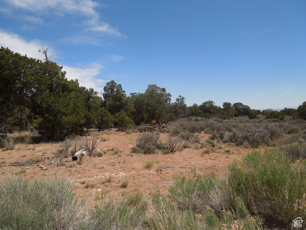 View of local wilderness featuring rural landscape