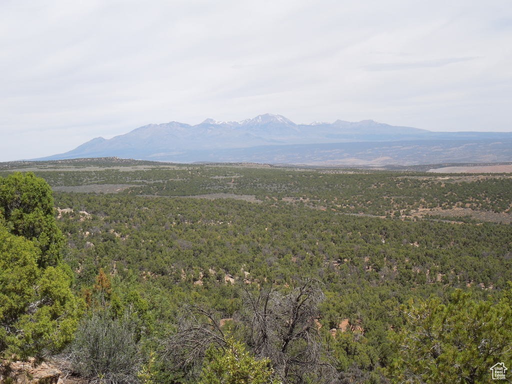 View of mountain background featuring a forest