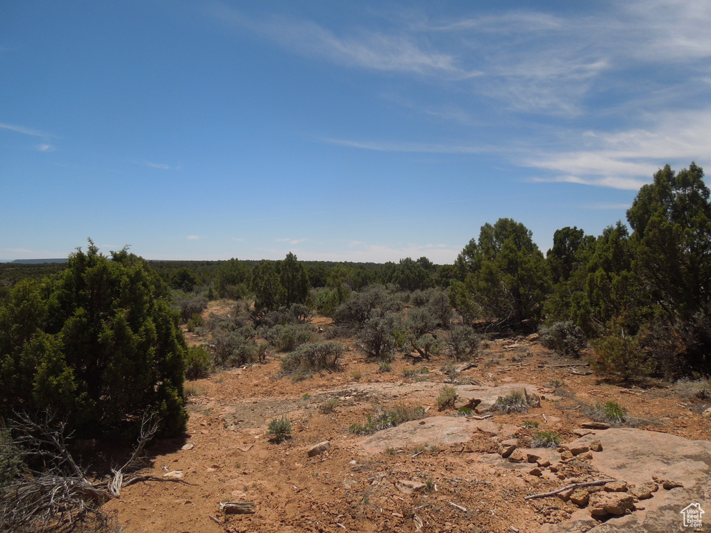 View of undeveloped land