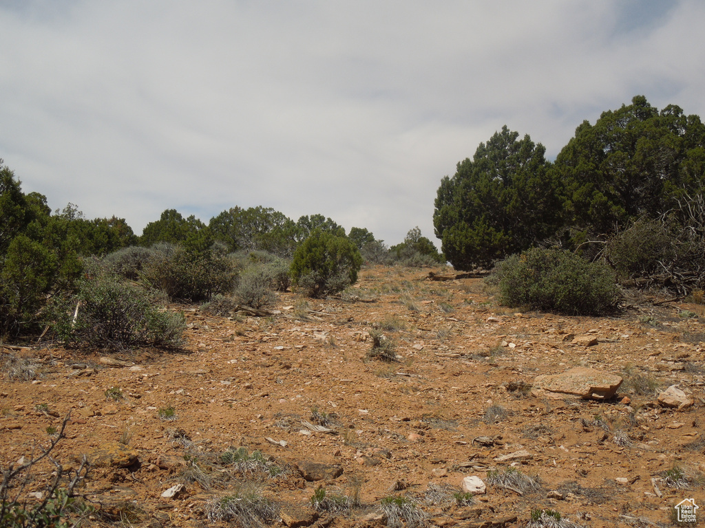 View of undeveloped land