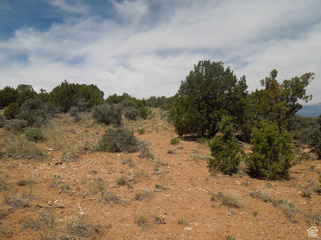 View of undeveloped land