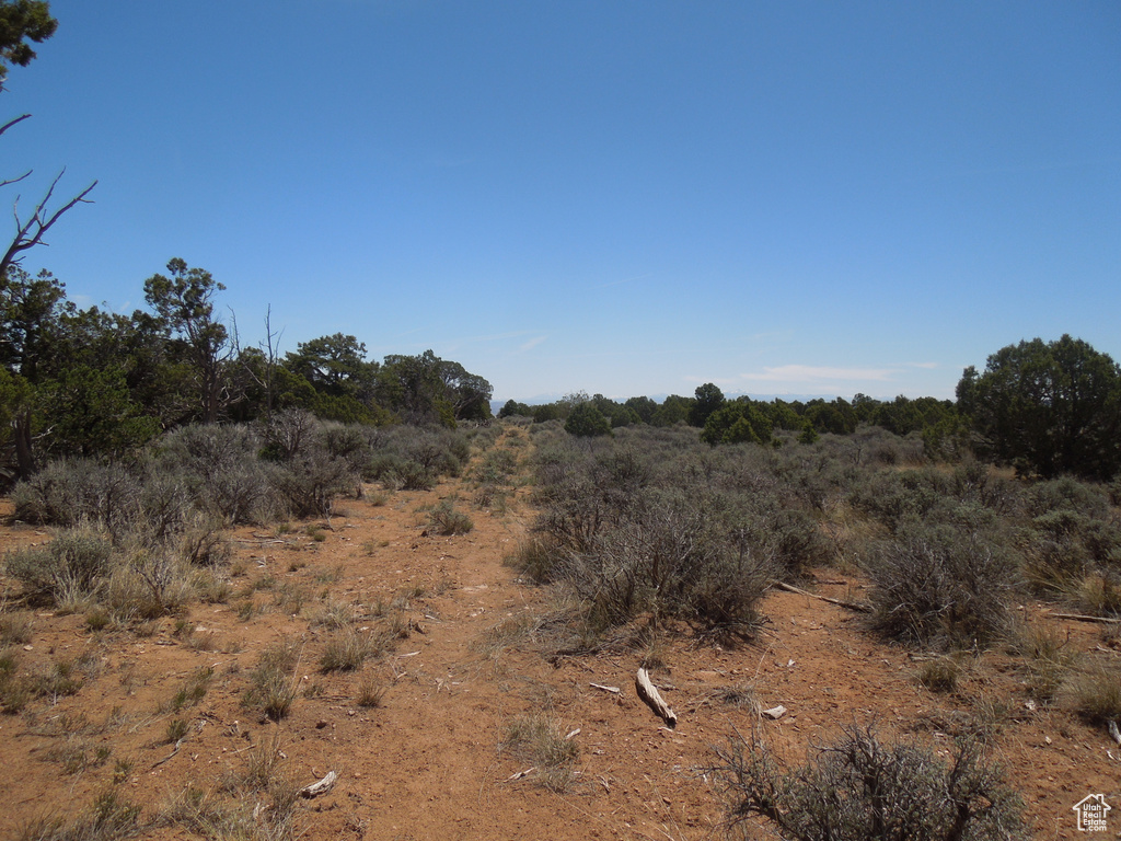 View of undeveloped land