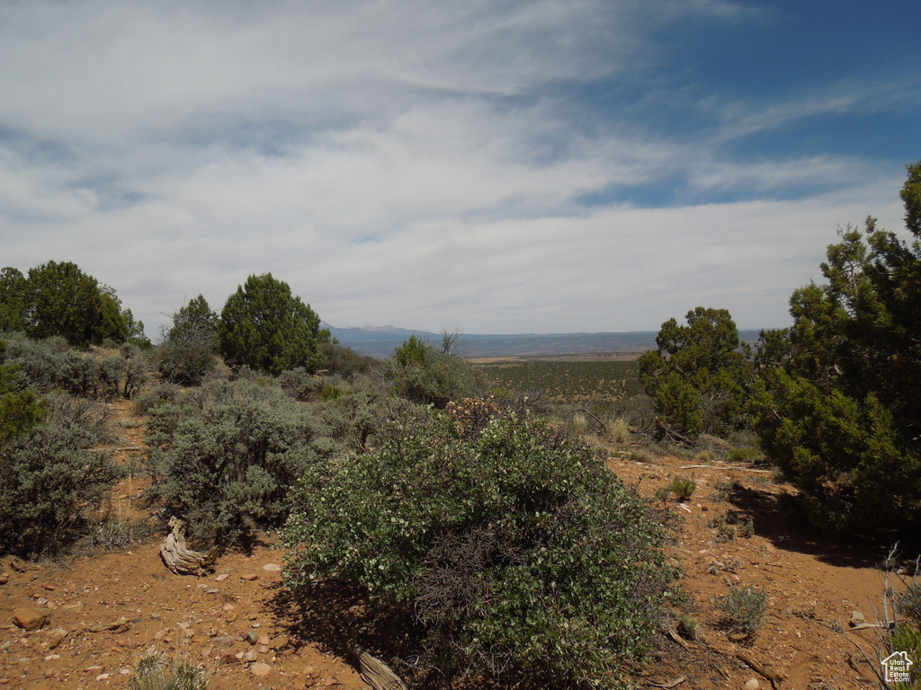 View of undeveloped land