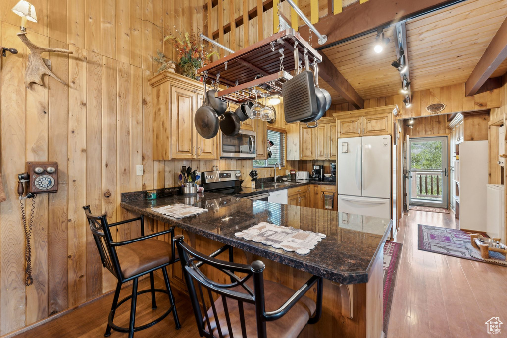 Kitchen with stainless steel appliances, wooden walls, track lighting, a sink, and hardwood / wood-style floors
