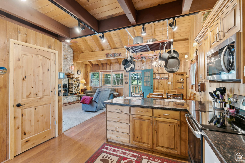Kitchen with stainless steel appliances, wooden walls, track lighting, wooden ceiling, and light wood finished floors