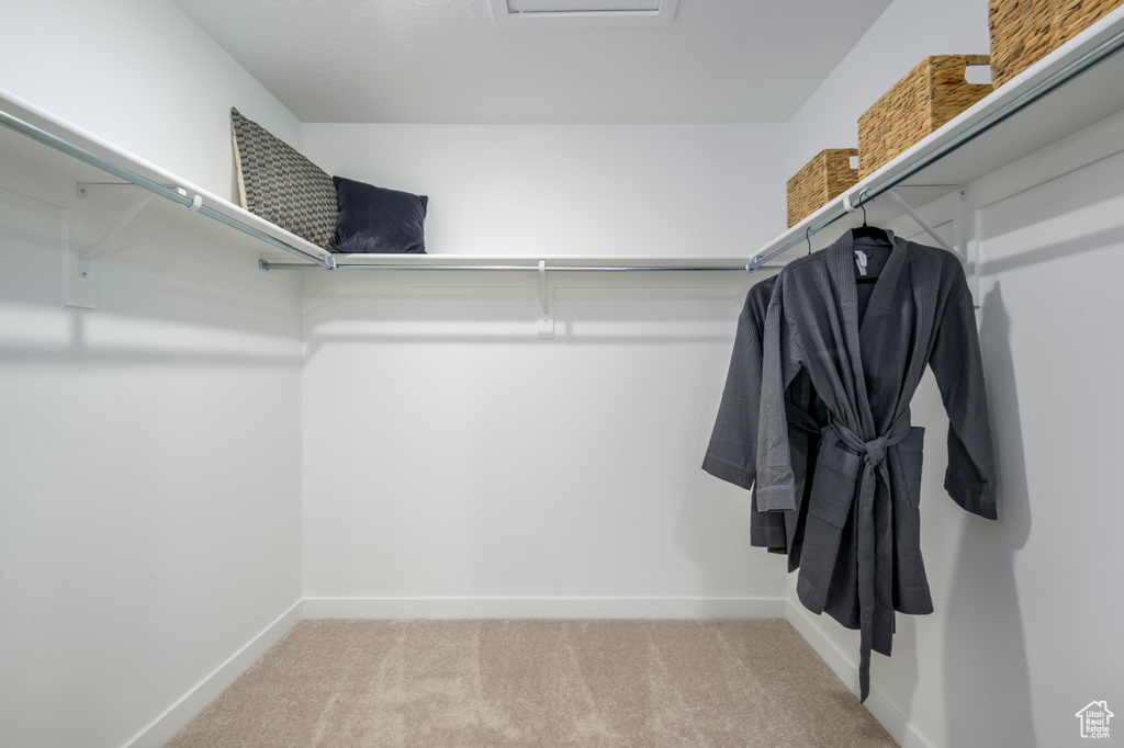 Spacious closet with carpet