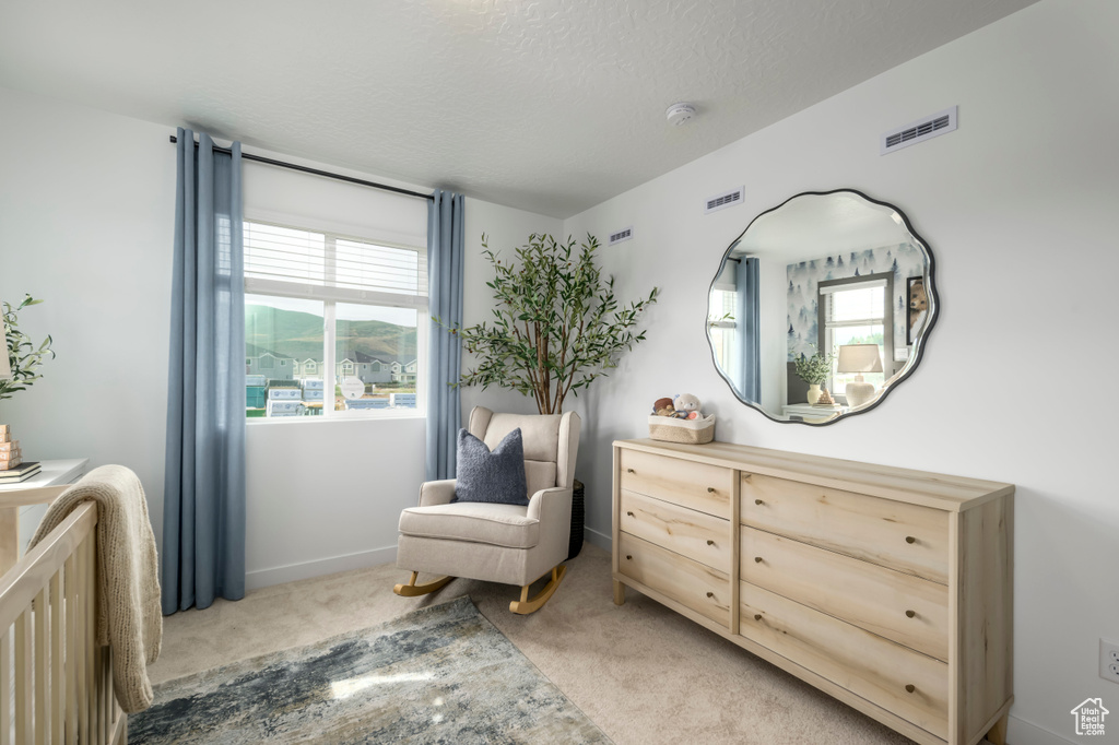 Bedroom featuring light carpet, baseboards, and a textured ceiling