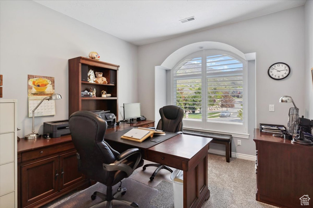 Office area with light carpet and baseboards