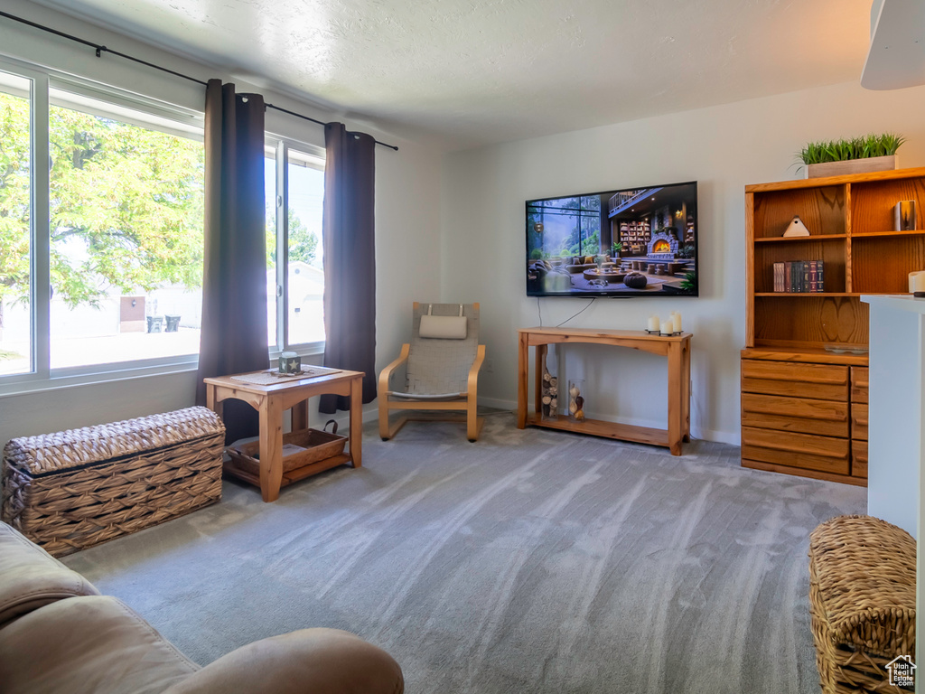 Sitting room with carpet and baseboards