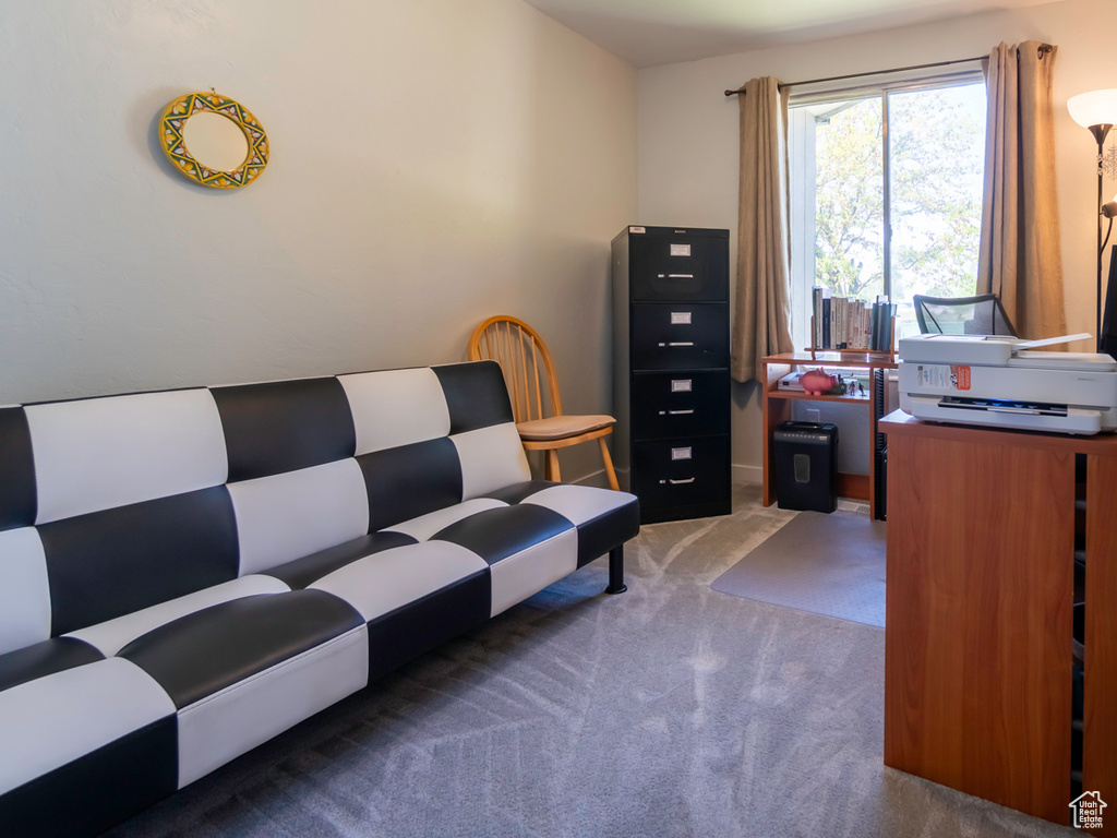 Office space with carpet floors