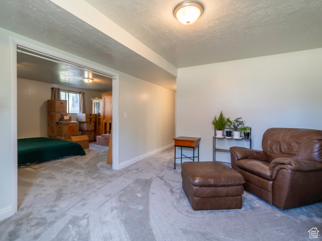 Living area with carpet flooring, baseboards, and a textured ceiling
