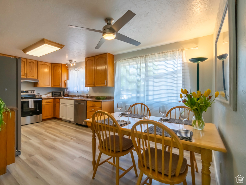 Kitchen with stainless steel appliances, under cabinet range hood, a sink, light wood-type flooring, and ceiling fan