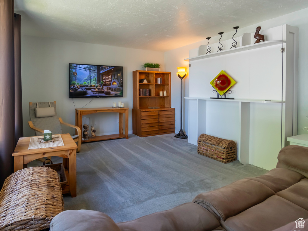 View of carpeted living room