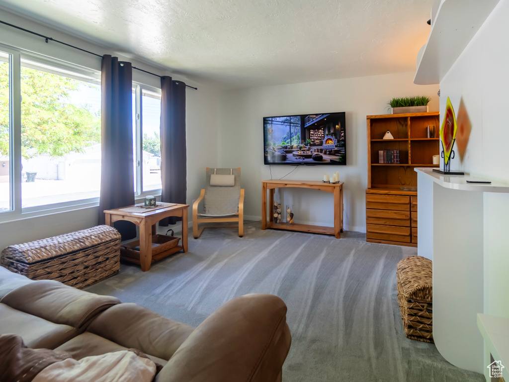 Living area with carpet, baseboards, and a textured ceiling