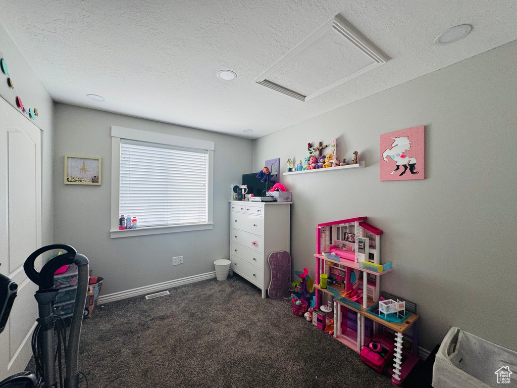 Recreation room featuring attic access, carpet flooring, a textured ceiling, and baseboards