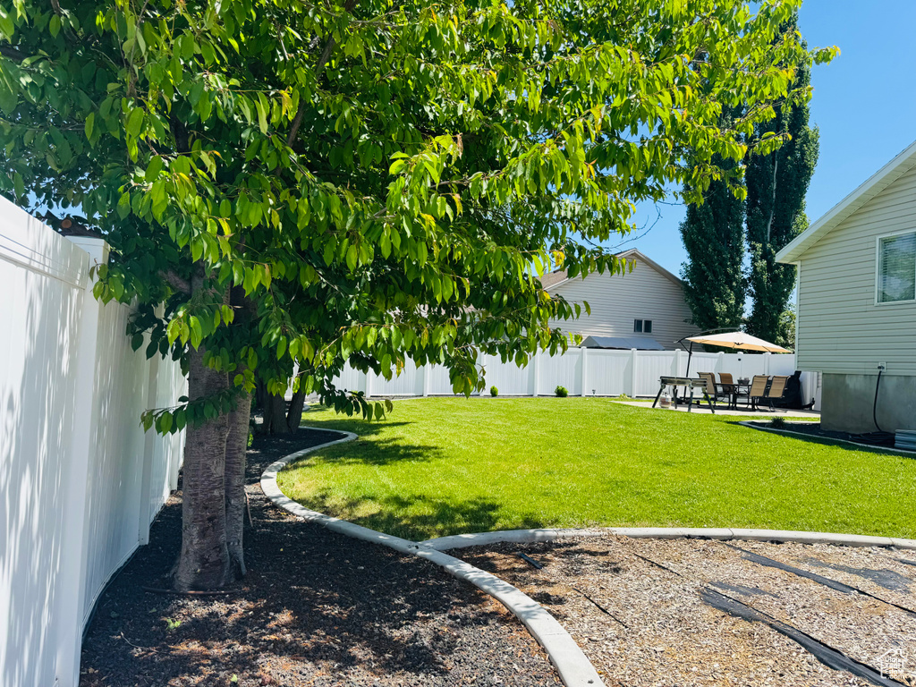 View of yard featuring a patio area