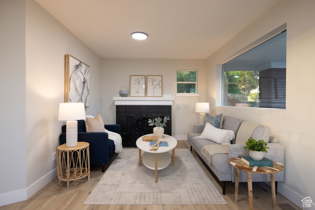 Living area with baseboards, wood finished floors, and a fireplace
