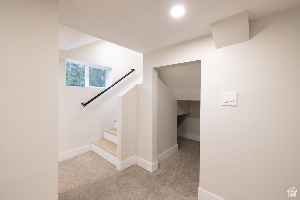 Stairway featuring baseboards and carpet floors