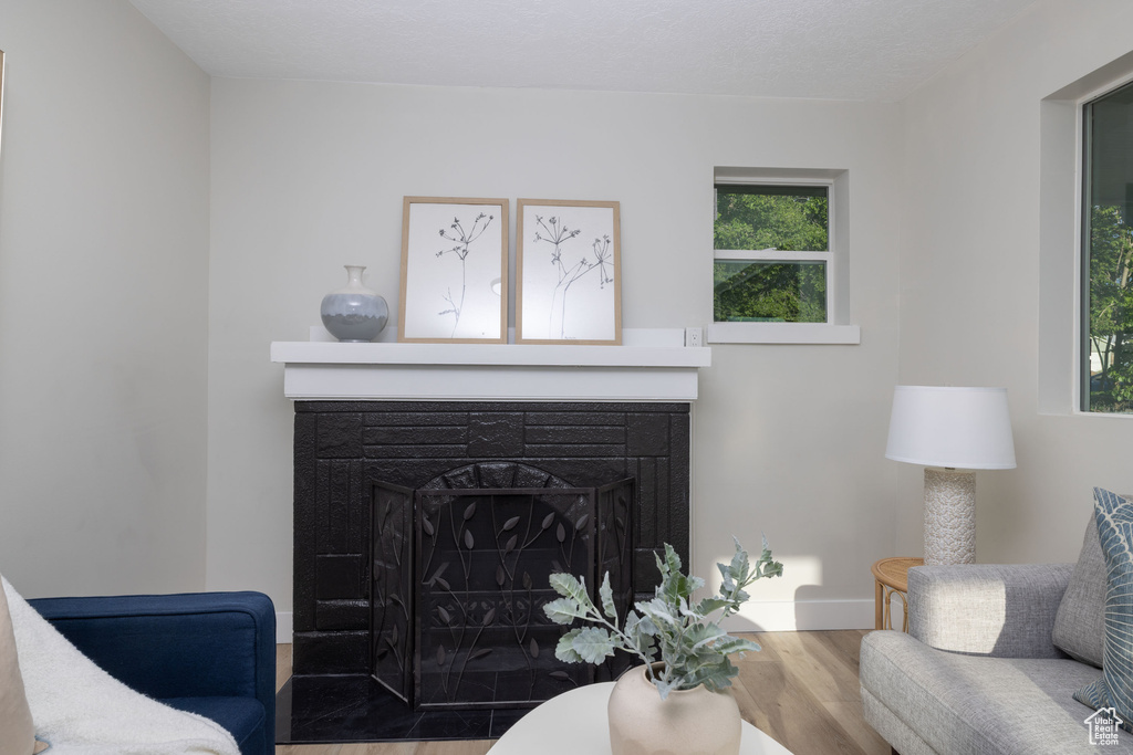Living area featuring a fireplace, wood finished floors, plenty of natural light, and baseboards