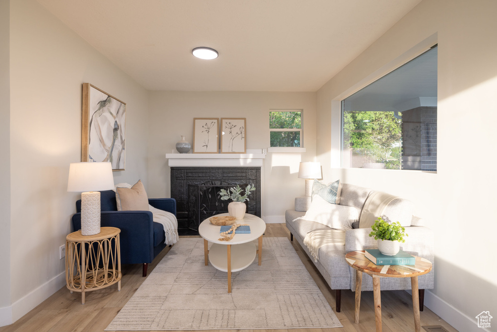 Living area featuring a fireplace, wood finished floors, and baseboards