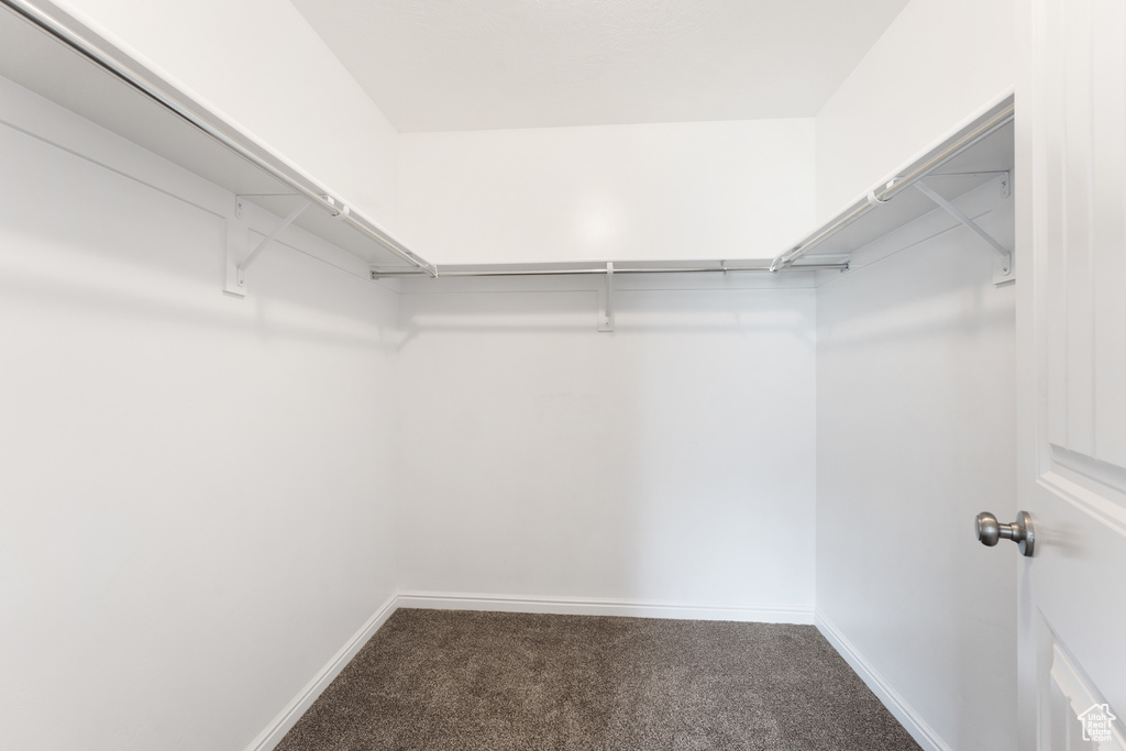 Spacious closet featuring carpet