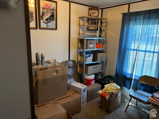Living area with carpet flooring