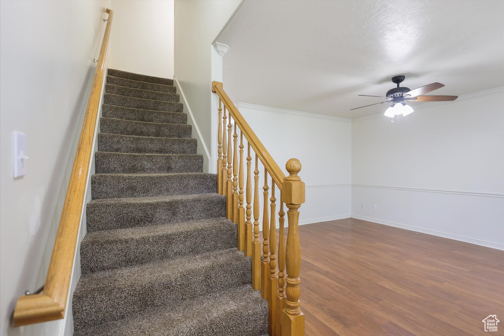 Staircase with wood finished floors, ceiling fan, baseboards, and crown molding