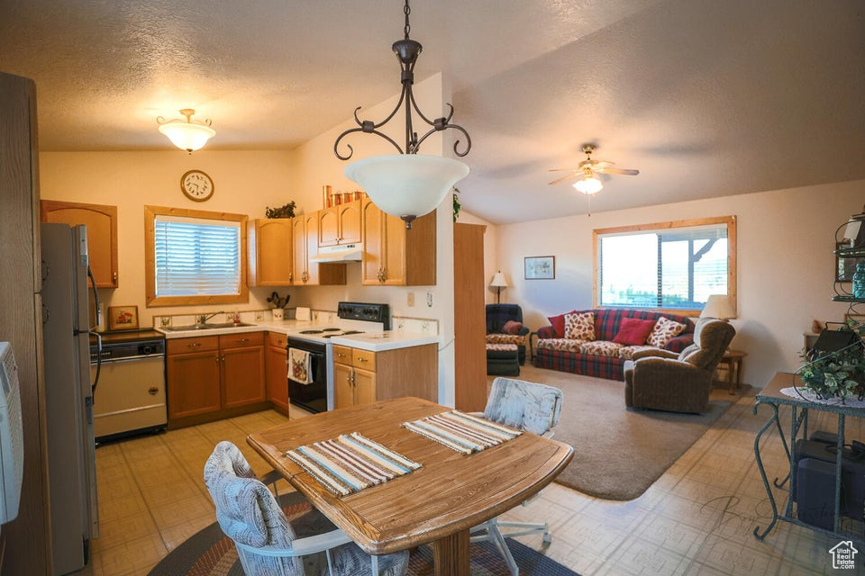 Kitchen featuring white appliances, under cabinet range hood, light countertops, open floor plan, and a ceiling fan