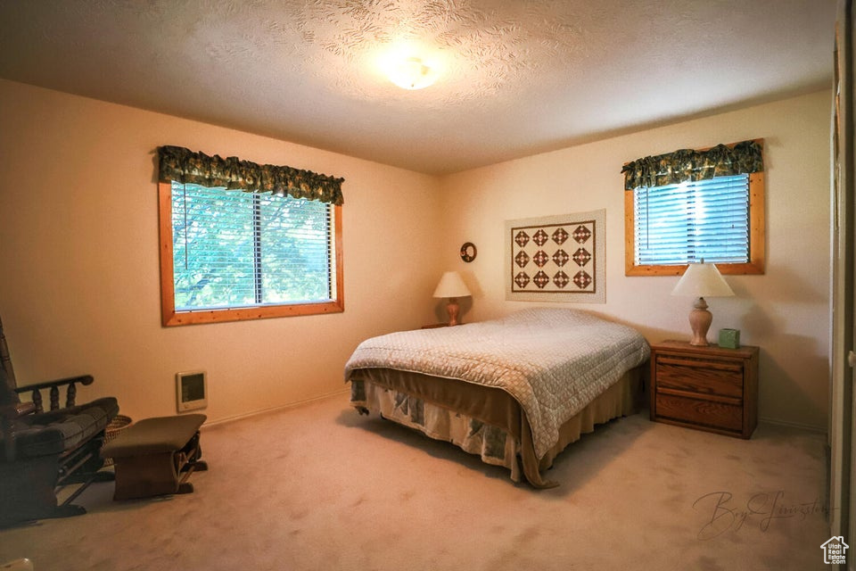 Bedroom featuring multiple windows, light carpet, a textured ceiling, and baseboards
