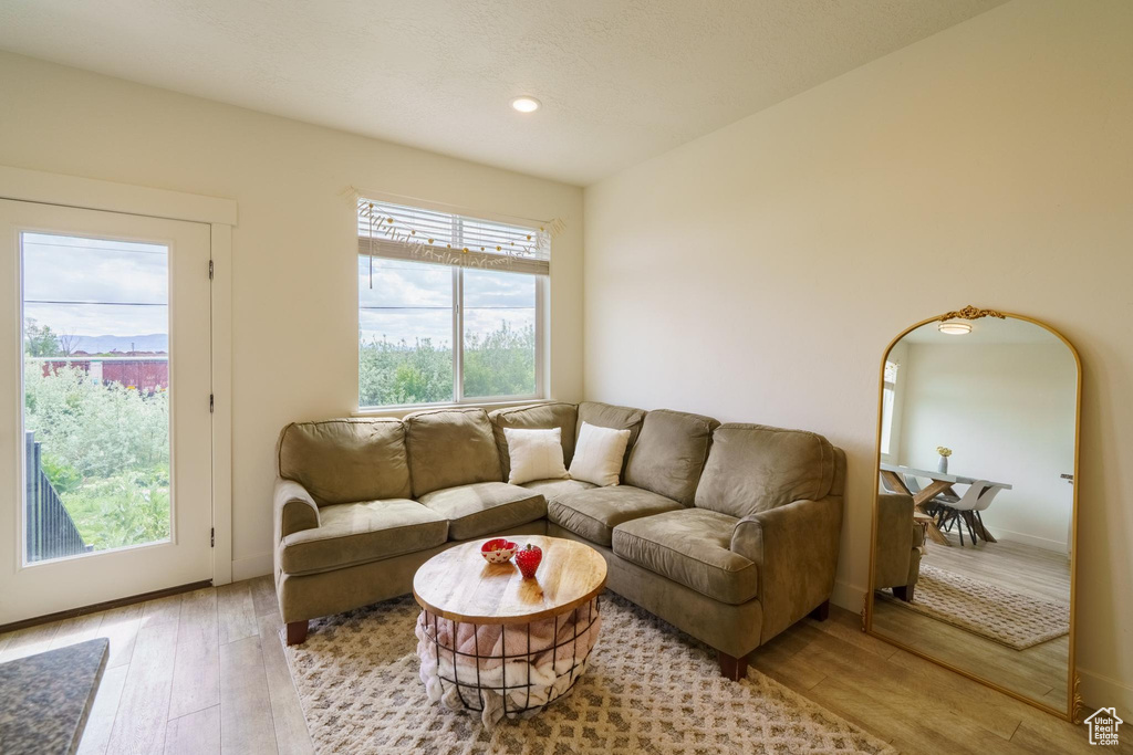 Living area with wood finished floors and recessed lighting