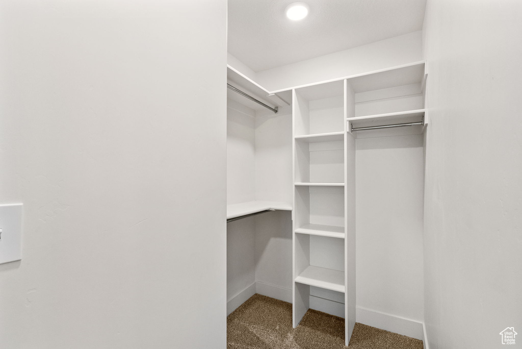 Spacious closet with carpet