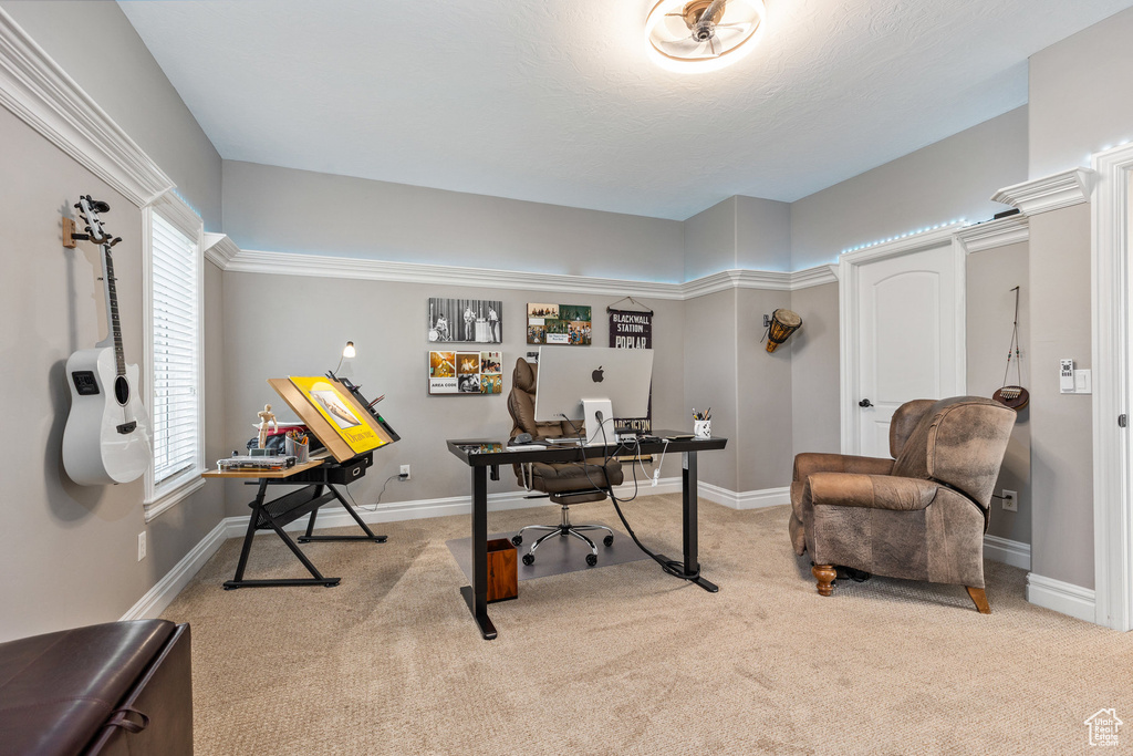 Office area featuring carpet floors, baseboards, and healthy amount of natural light