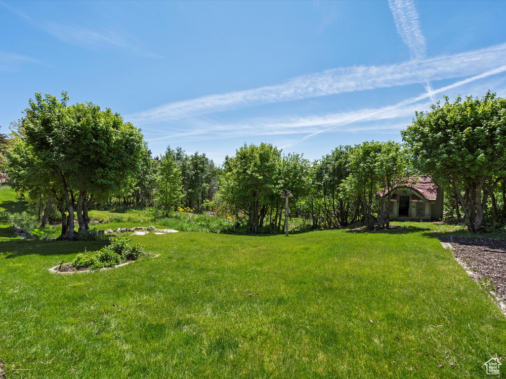 View of grassy yard