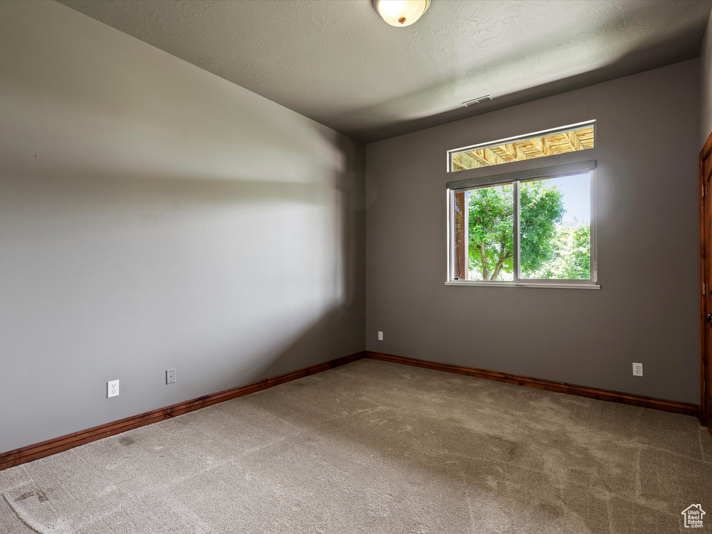 Unfurnished room with carpet, baseboards, and a textured ceiling