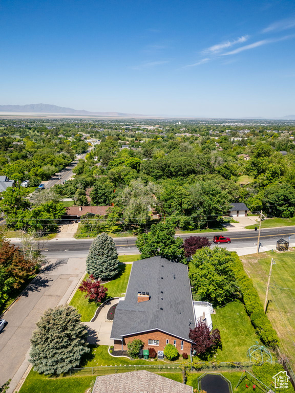 Bird\'s eye view