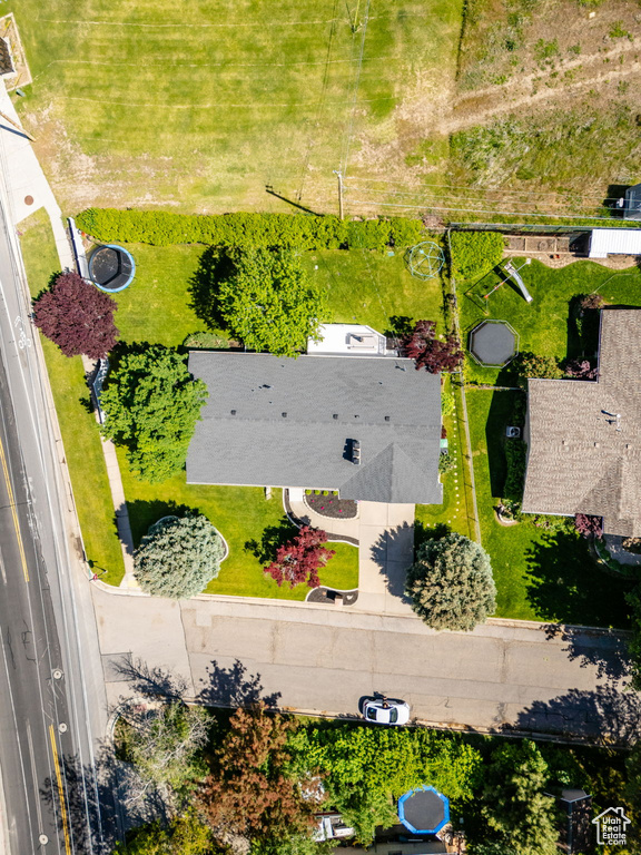 Bird\'s eye view