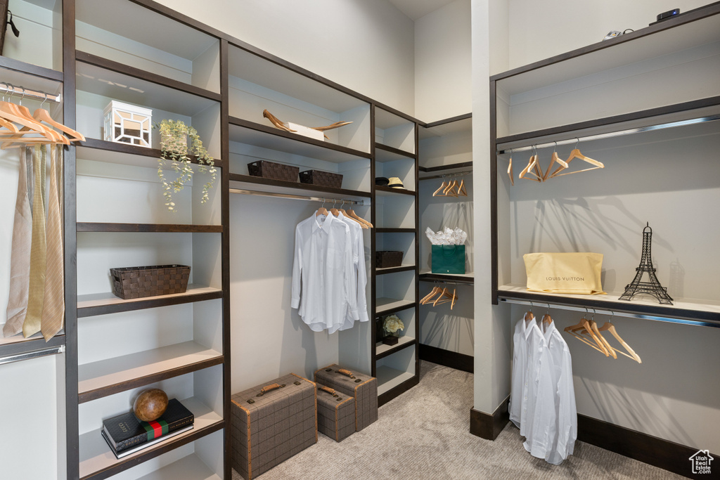 Spacious closet featuring carpet floors