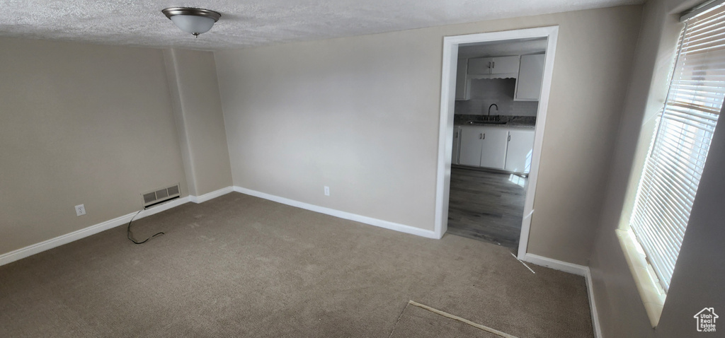 Empty room with a sink, healthy amount of natural light, baseboards, carpet floors, and a textured ceiling